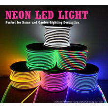 AC 110-220V Flexible RGB LED Neon Light Strip, 60 LEDs/M, Waterproof, Multi Color Changing 5050 SMD LED Rope Light